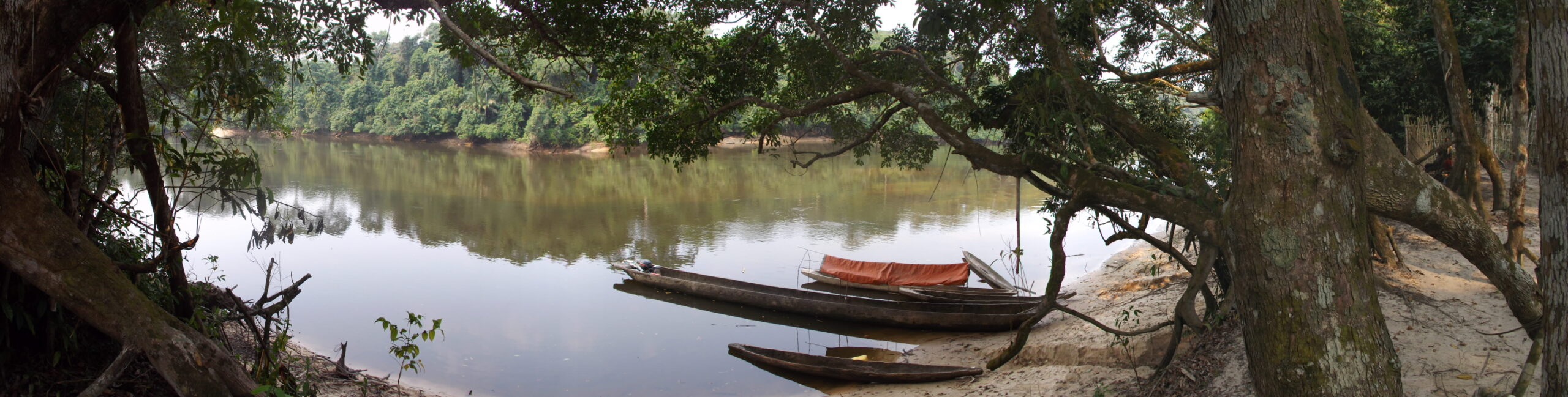 G. Lacaille: The Democratic Republic Of Congo