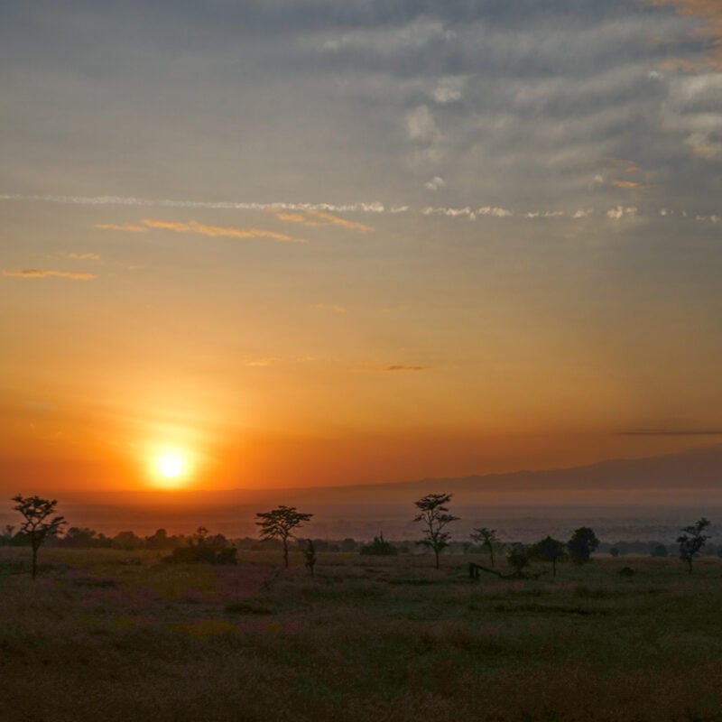 Ol Peseta, Kenya